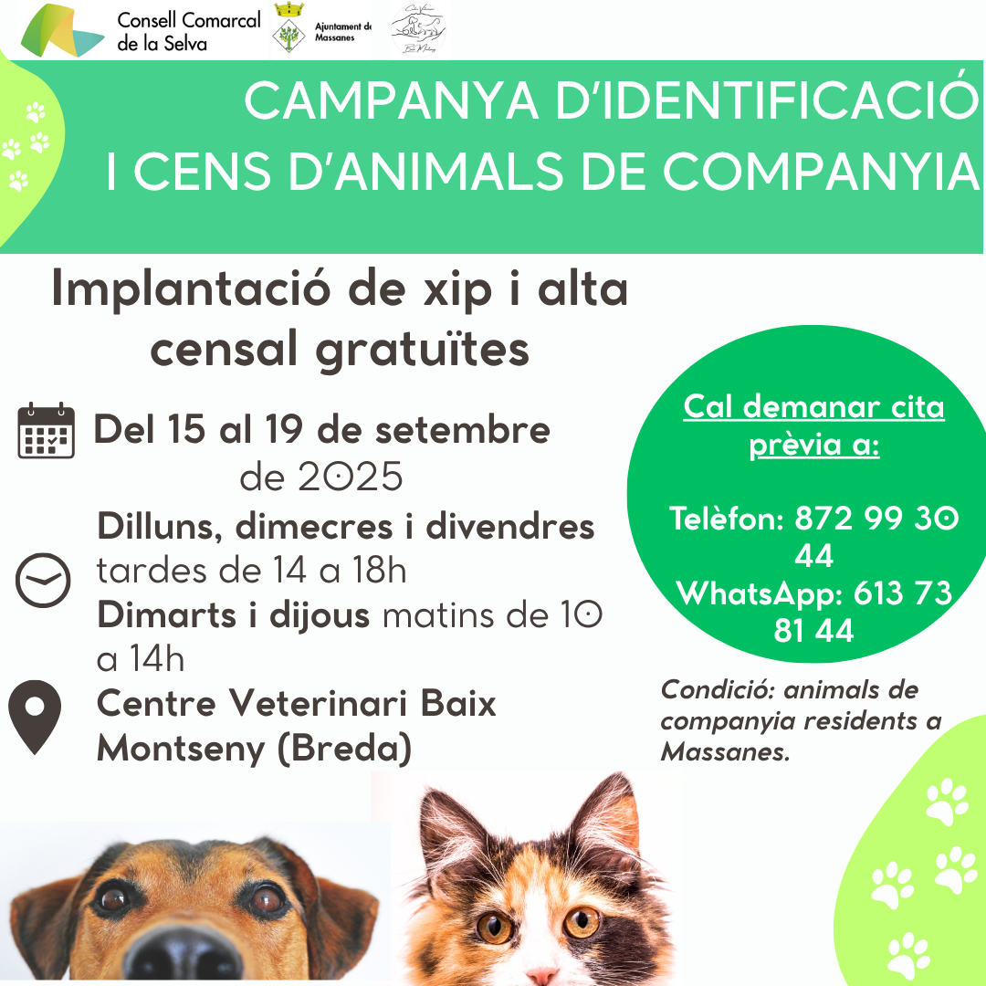 Activitat futura